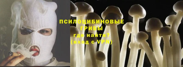 гидра Арсеньев