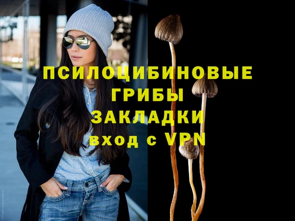 гидра Арсеньев