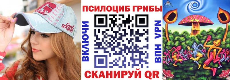 блэк спрут вход  Райчихинск  Галлюциногенные грибы GOLDEN TEACHER 
