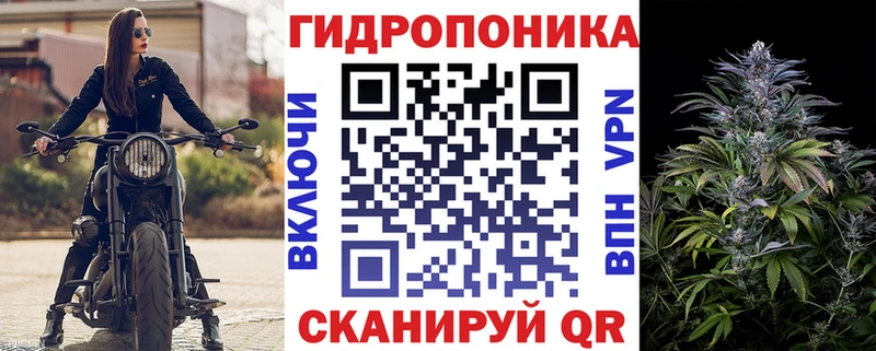 магазин продажи наркотиков  Райчихинск  Бошки марихуана сатива 